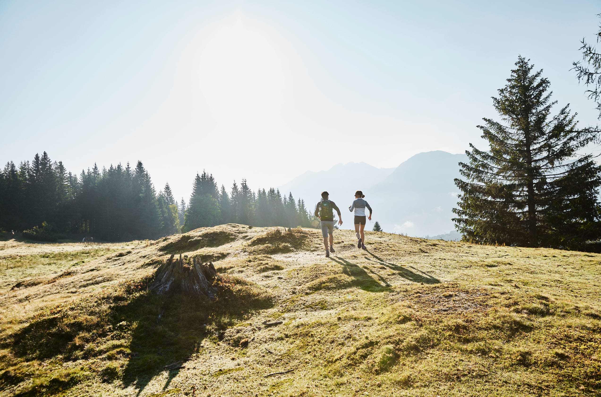 Wandern im Salzburgerland bei Sonnenschein