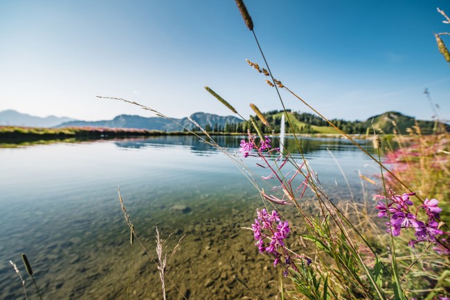 Sommerwanderung auf den Grafenbergsee © Wagrain-Kleinarl Tourismus